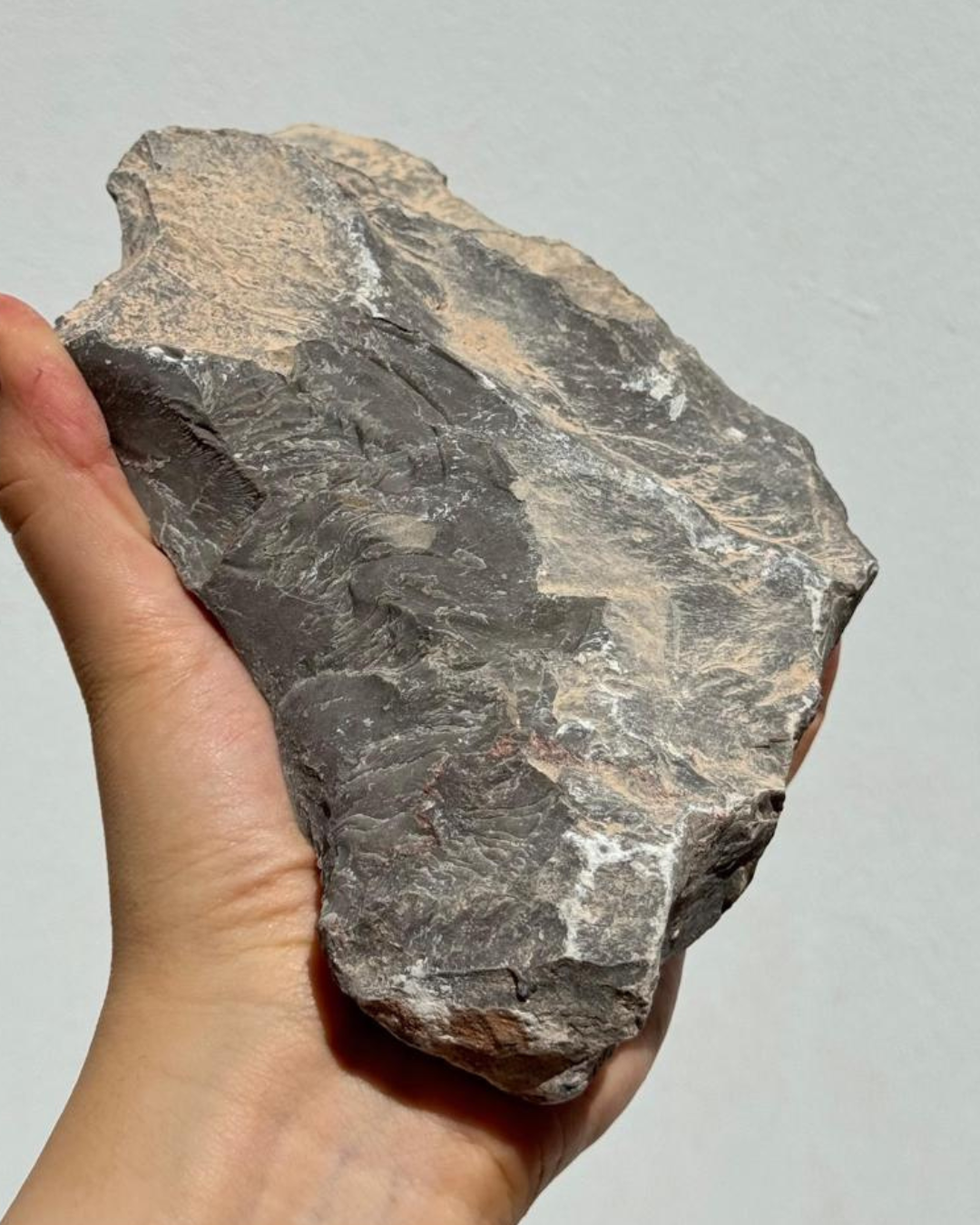 Carbonato de calcio (piedra caliza) en planta